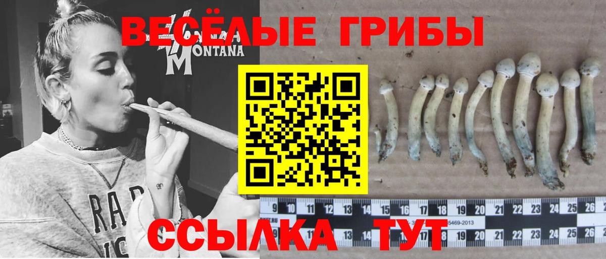 Сатка  Галлюциногенные грибы Psilocybine cubensis  Псилоцибиновые грибы MAGIC MUSHROOMS  Вход с VPN 